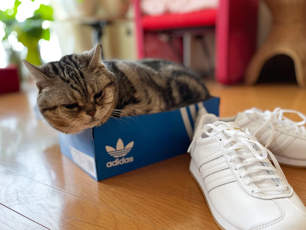 sumomo365_202203_sneakers_11.jpg