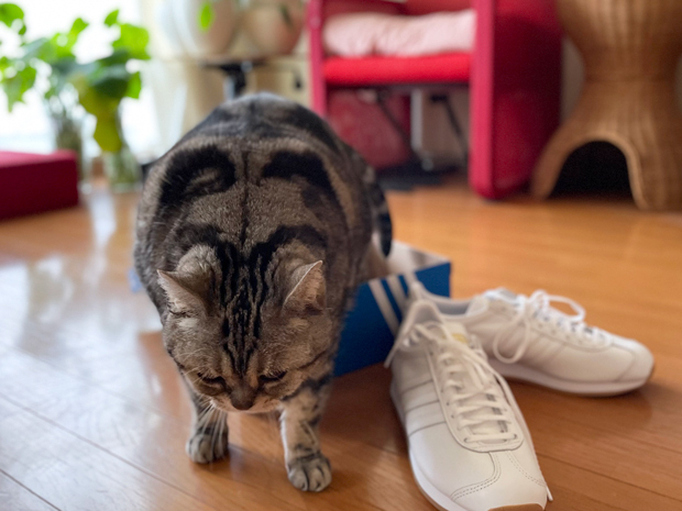 sumomo365_202203_sneakers_13.jpg