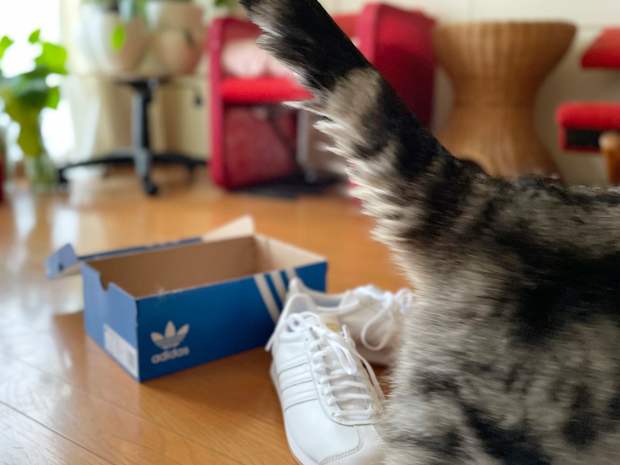 sumomo365_202203_sneakers_14.jpg