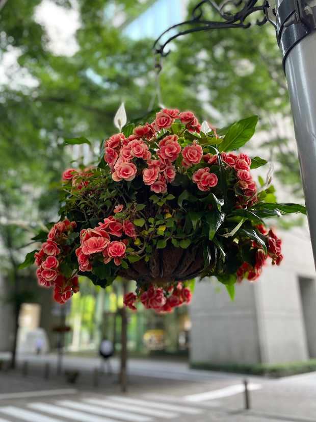 sumomo365_20220609_marunouchi_06.jpg