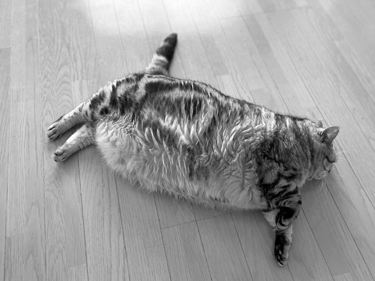 sumomo365_20220629_floor_00.jpg