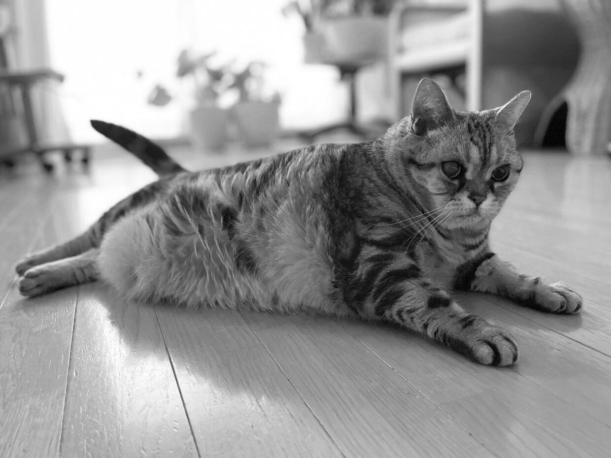sumomo365_20220629_floor_02.jpg