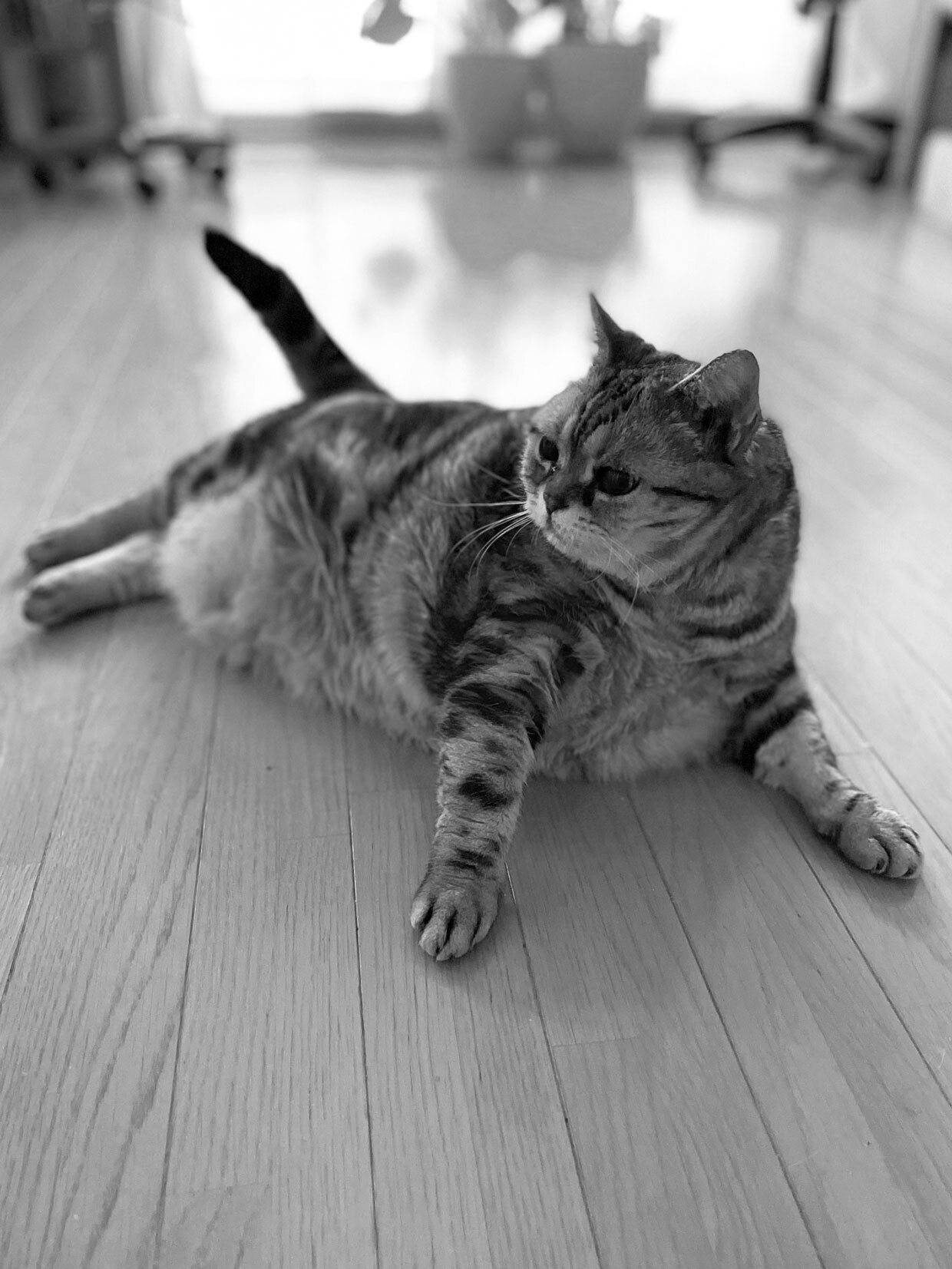 sumomo365_20220629_floor_03.jpg