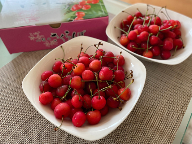sumomo365_202206_Cherry_00.jpg