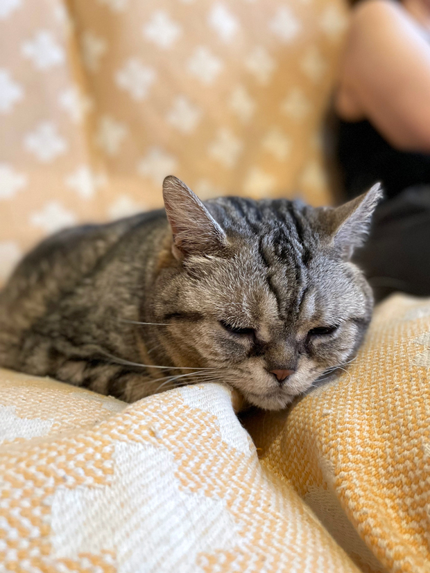 sumomo365_202206_Grooming_02.jpg
