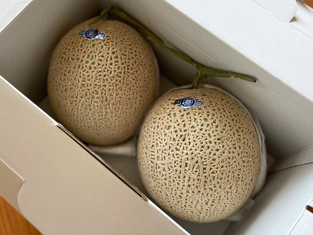 sumomo365_20220709_melon_00.jpg