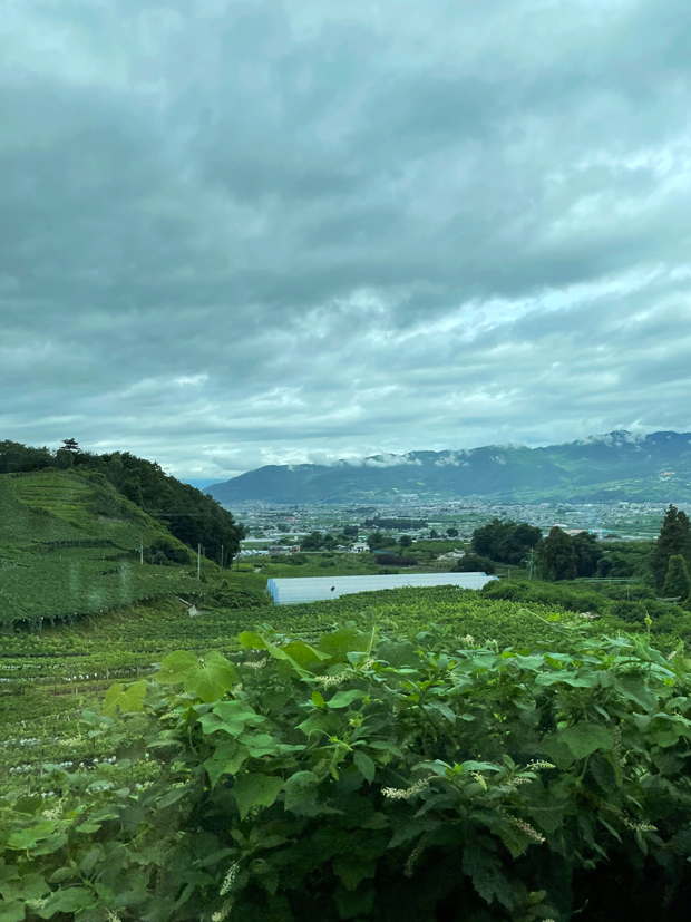 sumomo365_20220717_Kofu_Basin_01.jpg