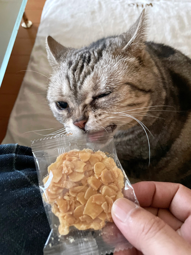 sumomo365_202208_almond_tart_02.jpg