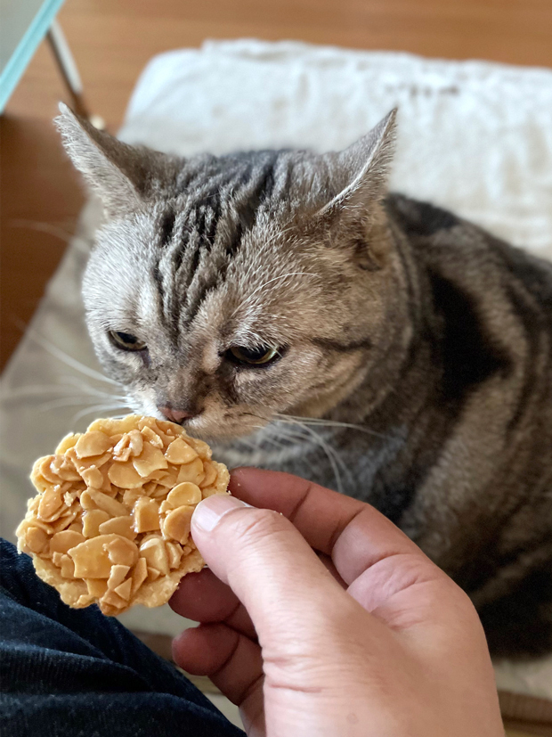 sumomo365_202208_almond_tart_04.jpg