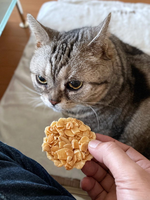 sumomo365_202208_almond_tart_05.jpg
