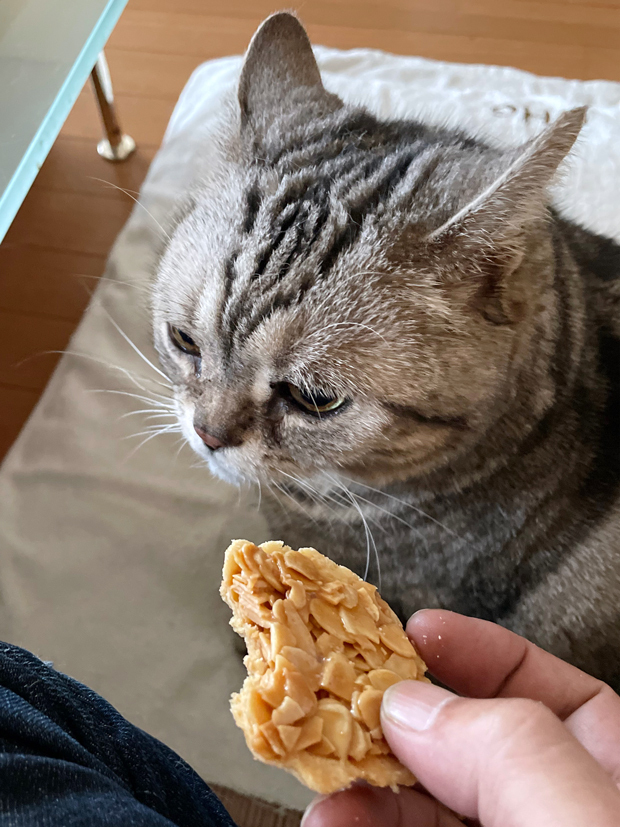 sumomo365_202208_almond_tart_06.jpg
