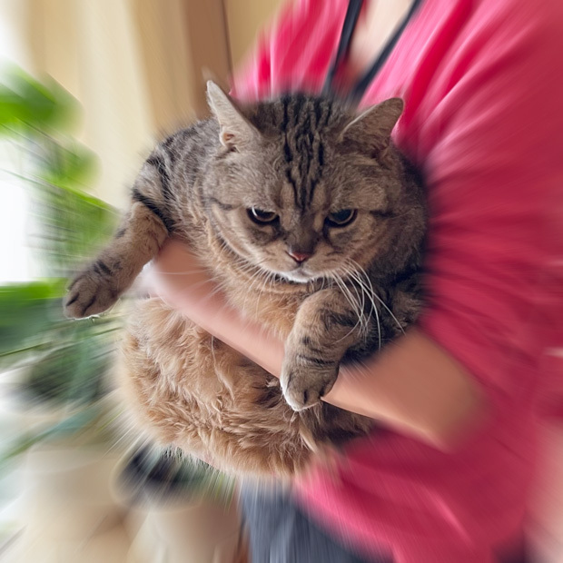 sumomo365_202304_catching_cry_00.jpg