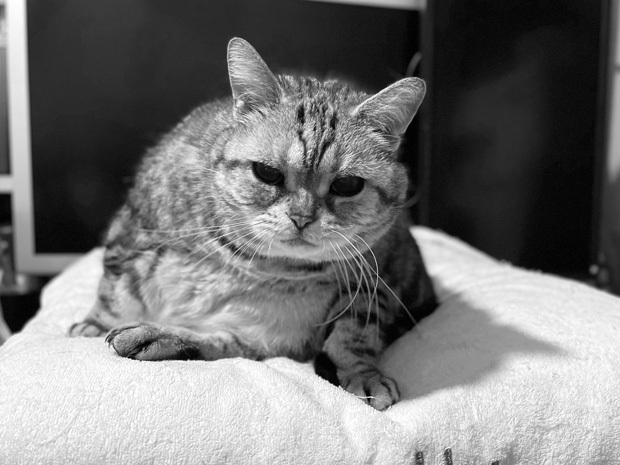 sumomo365_202305_grooming_00.jpg