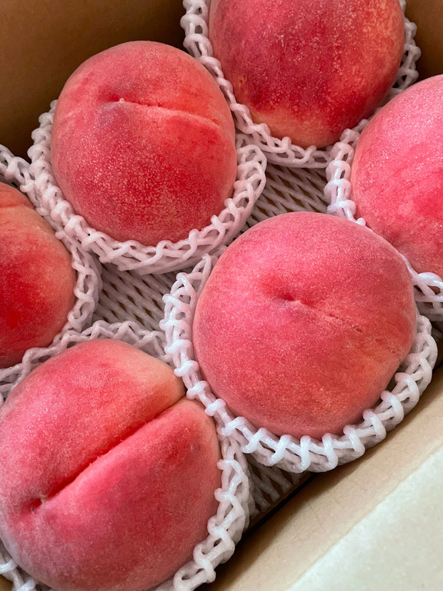 sumomo365_20230722_peach_00.jpg