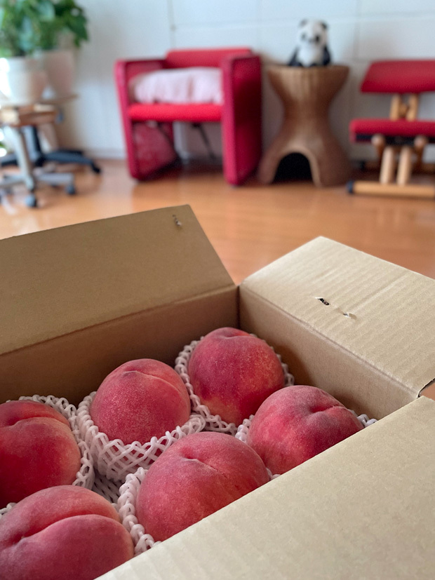 sumomo365_20230722_peach_01.jpg