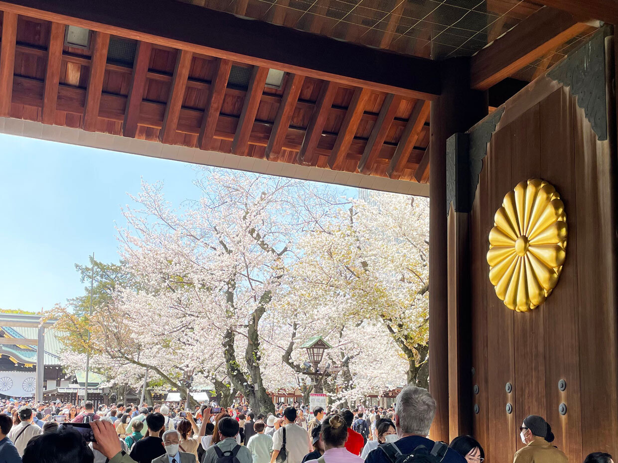 sumomo365_20240407_Yasukuni_10.jpg
