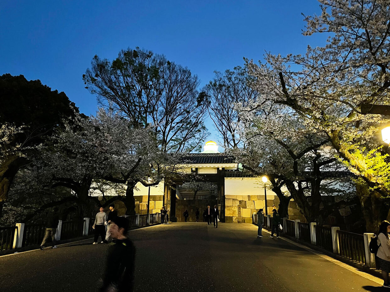 sumomo365_20240410_Chidorigafuchi_20.jpg