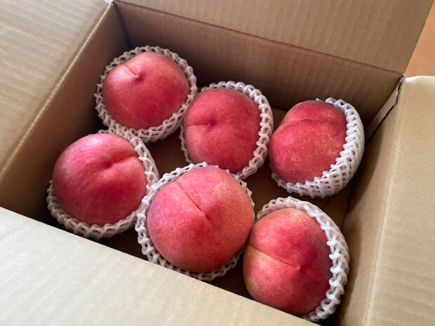 sumomo365_20240718_peaches.jpg